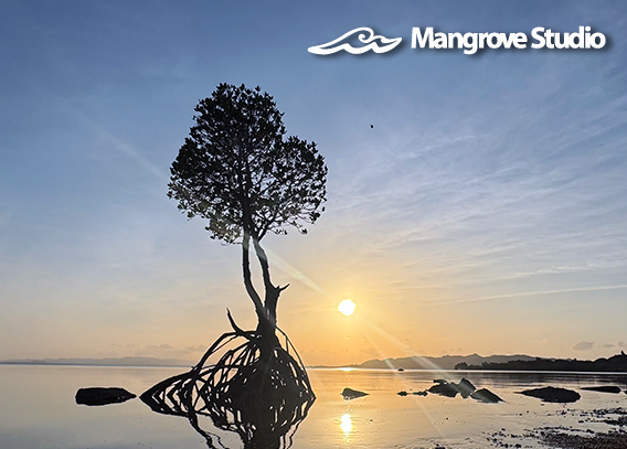 Mangrove Studio Web Site